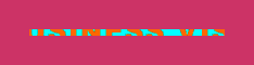 businessvisa.gif